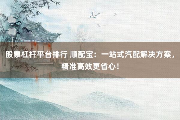 股票杠杆平台排行 顺配宝:一站式汽配解决方案,精准高效更省心!