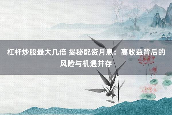 杠杆炒股最大几倍 揭秘配资月息:高收益背后的风险与机遇并存