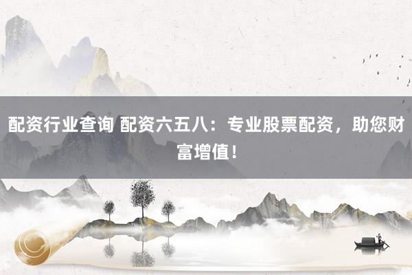 配资行业查询 配资六五八:专业股票配资,助您财富增值!