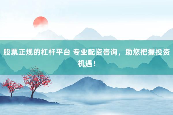 股票正规的杠杆平台 专业配资咨询，助您把握投资机遇！