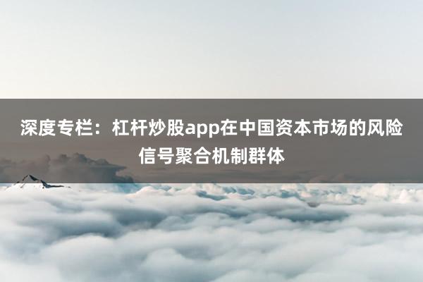 深度专栏：杠杆炒股app在中国资本市场的风险信号聚合机制群体