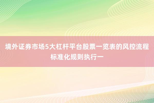境外证券市场5大杠杆平台股票一览表的风控流程标准化规则执行一