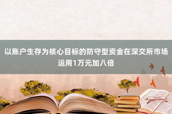 以账户生存为核心目标的防守型资金在深交所市场运用1万元加八倍
