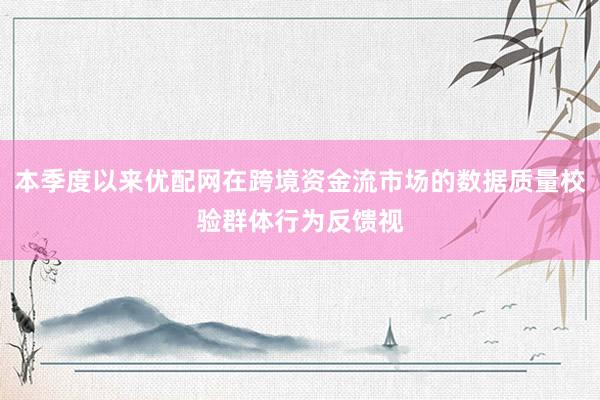 本季度以来优配网在跨境资金流市场的数据质量校验群体行为反馈视