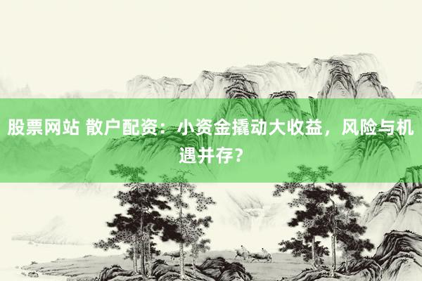 股票网站 散户配资：小资金撬动大收益，风险与机遇并存？
