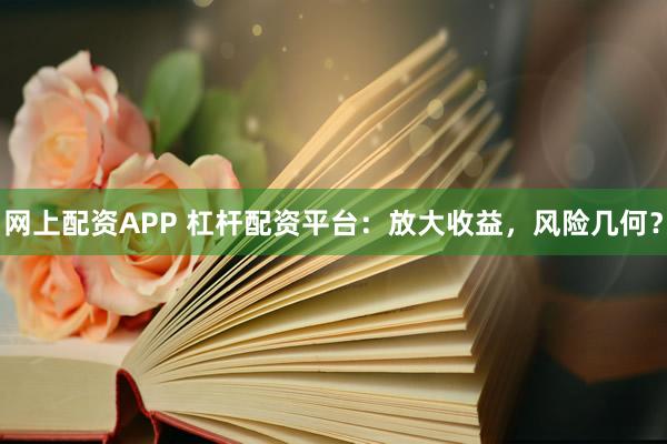 网上配资APP 杠杆配资平台：放大收益，风险几何？